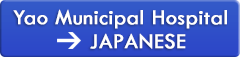 Japanese HP