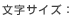 文字サイズ：