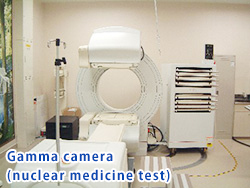 Gamma camera (nuclear medicine test)