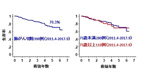 肺がん手術症例