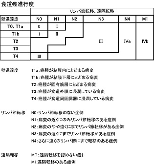 食道癌進行度