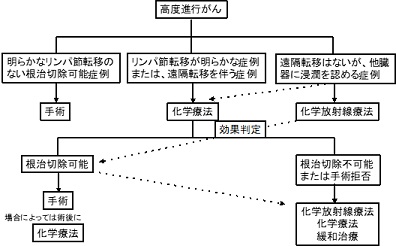 高度進行がんに対する治療戦略