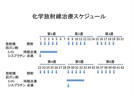 化学療法スケジュール